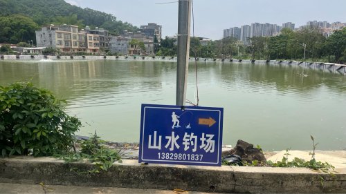 山水钓鱼场钓点与钓场环境照片