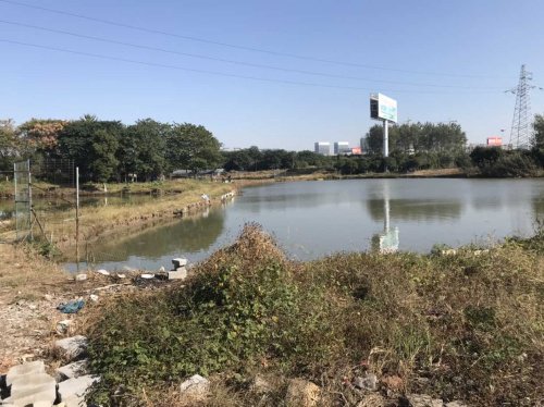 国宝休闲垂钓中心钓场环境照片