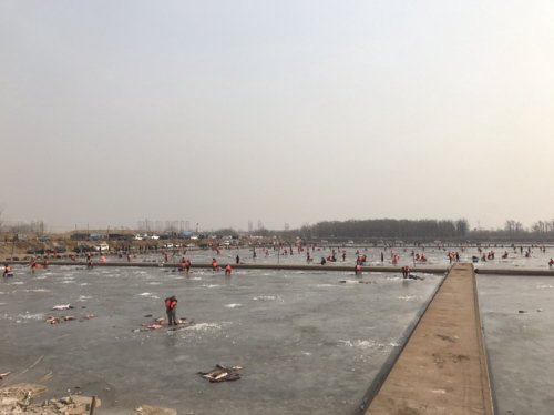 天津静海花园钓场钓点与钓场环境照片