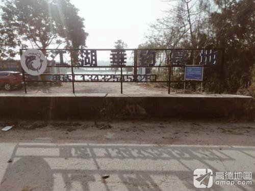 江湖垂钓基地钓鱼场钓点与钓场环境照片