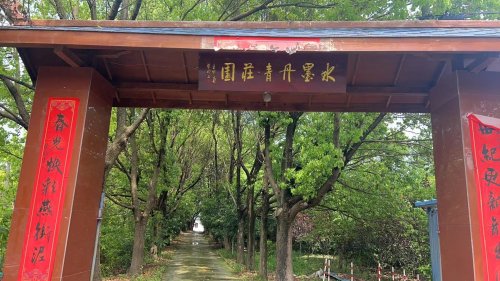 水墨丹青·垂钓中心钓场环境照片