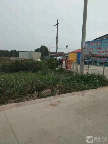 东升钓鱼场钓点与钓场环境照片