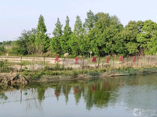 九里湖垂钓场钓场环境照片