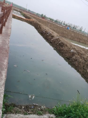 田园家龙虾垂钓园钓场环境照片