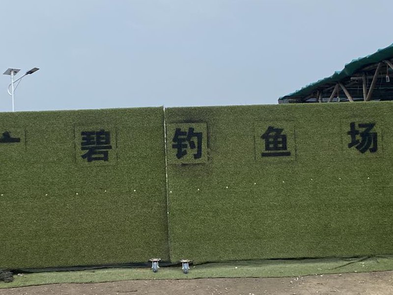 广碧钓鱼场钓点与钓场环境照片