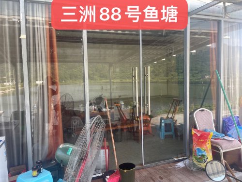 三洲村88号鱼塘钓点与钓场环境照片