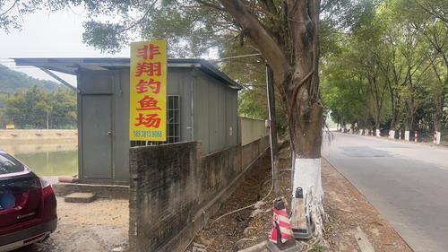 非翔钓鱼场钓点与钓场环境照片