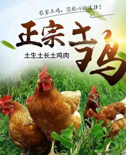 丰记鱼塘钓点与钓场环境照片