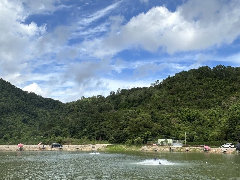聚友休闲垂钓乐园钓点与钓场环境照片