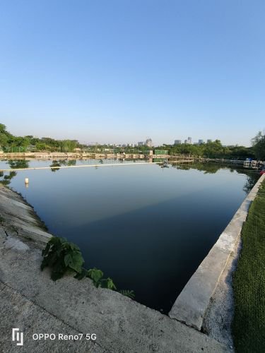 花园里新钓场钓场环境照片