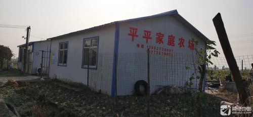 如皋平平家庭农场垂钓基地钓场环境照片