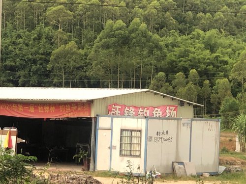 钰锋钓鱼场钓点与钓场环境照片