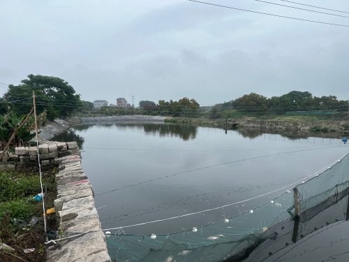 南湾清水垂钓园钓场环境照片