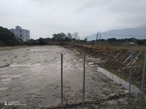下岭钓鱼钓场环境照片