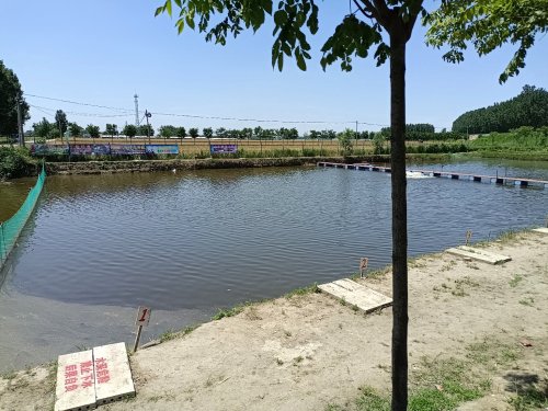 鸿运休闲垂钓园钓点与钓场环境照片