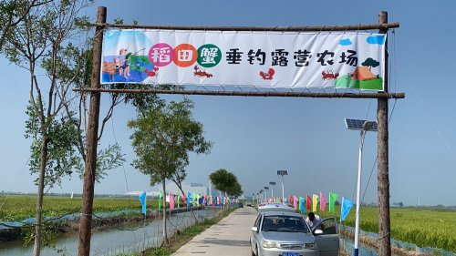 稻田蟹垂钓露营农场钓点与钓场环境照片