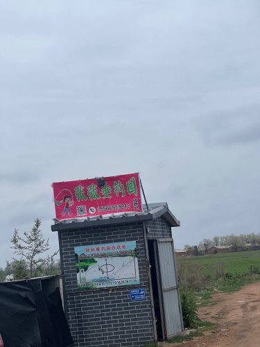 张张垂钓园钓场环境照片