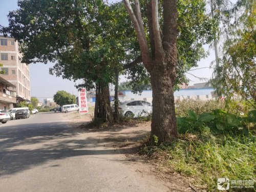 南岸垂钓园钓鱼场钓点与钓场环境照片