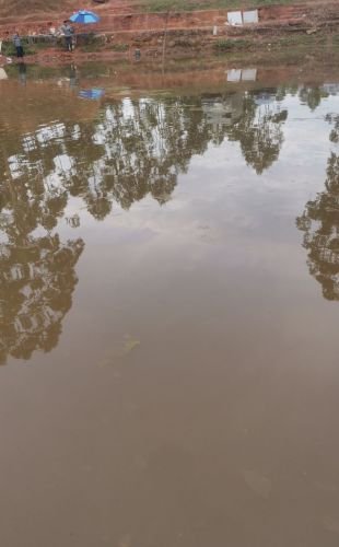 油甘埠十八哥钓场钓场环境照片
