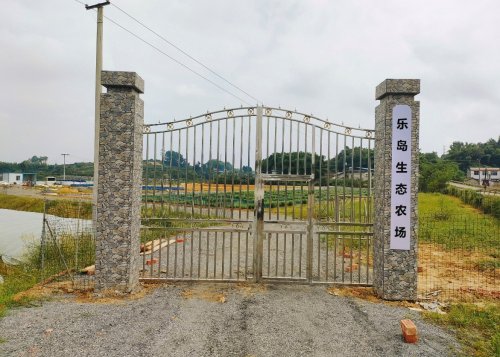 乐岛垂钓农场钓点与钓场环境照片