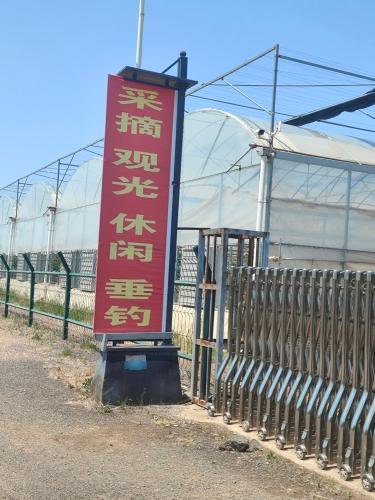 马山天喜垂钓园钓点与钓场环境照片