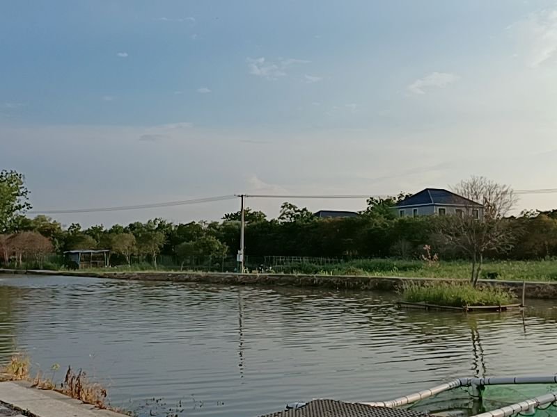 老兵生态养殖垂钓园钓点与钓场环境照片