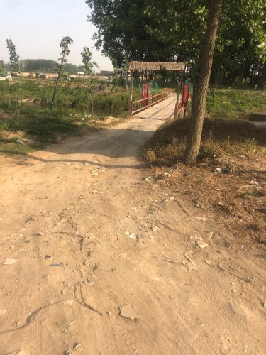 开心垂钓钓场环境照片