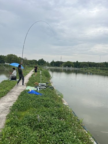 乐乐垂钓园钓点与钓场环境照片