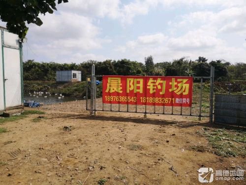 晨阳钓场钓场环境照片