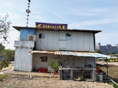 龙凤垂钓桂花乐园钓点与钓场环境照片