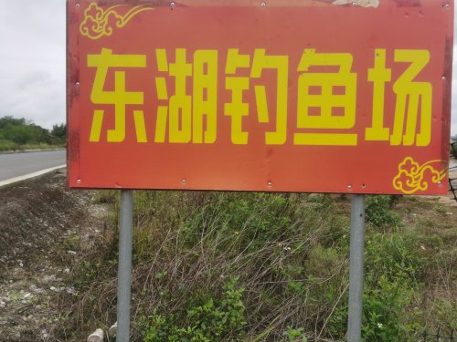 东湖钓鱼场钓场环境照片