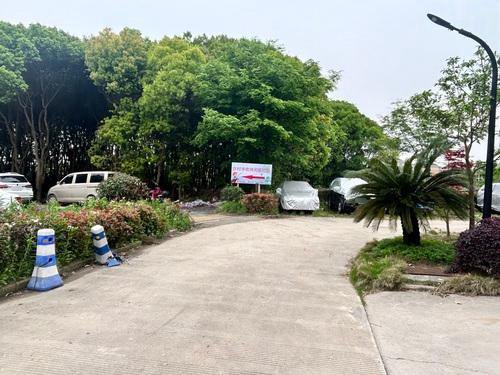 许村丰收钓场钓点与钓场环境照片
