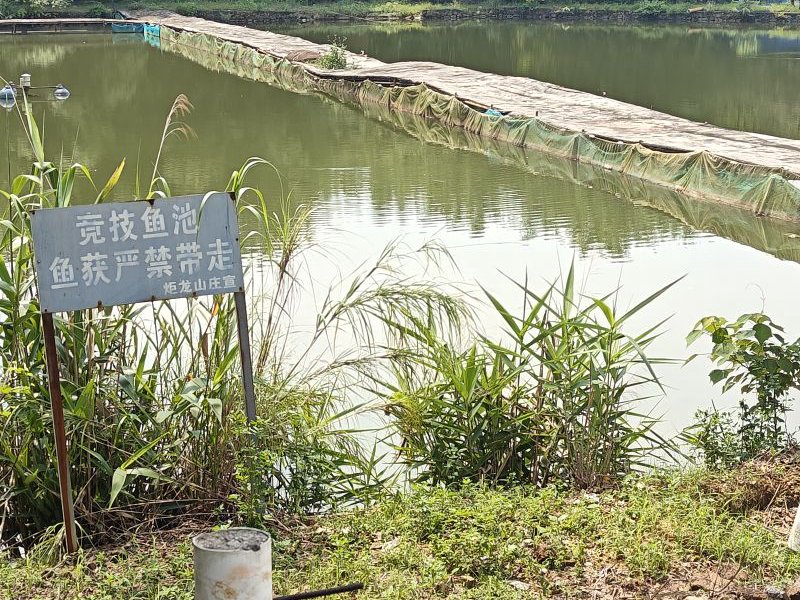 炬龙钓场钓点与钓场环境照片