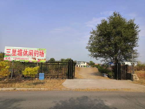 三星塘休闲钓场钓点与钓场环境照片