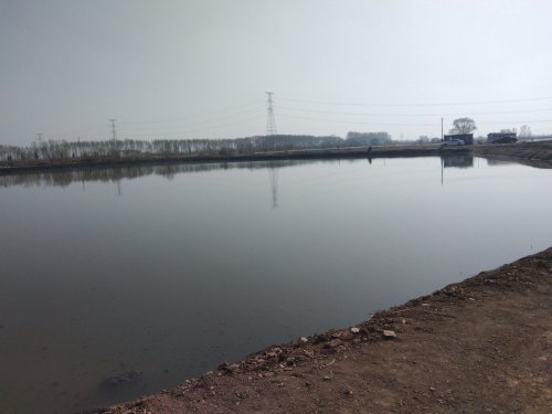 新营蒲河大物垂钓园钓场环境照片