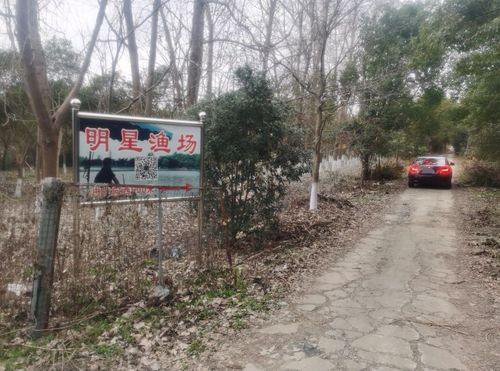 明星鱼塘钓场环境照片