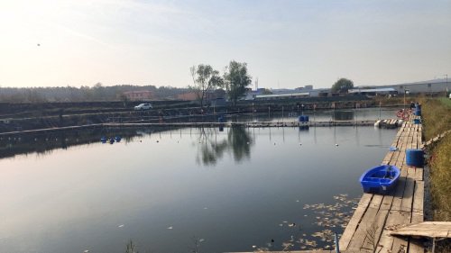 酒嫂休闲垂钓园钓场环境照片