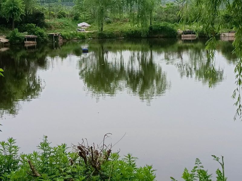 元宝钓场钓场环境照片