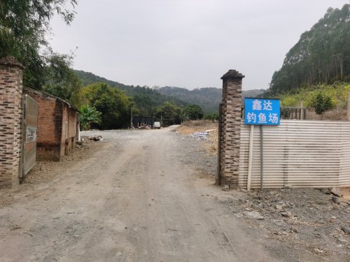鑫达钓鱼场钓场环境照片