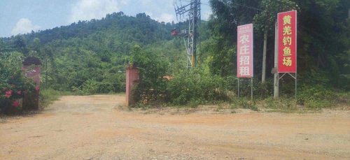 黄羌钓鱼场钓点与钓场环境照片