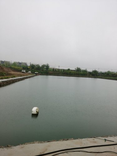 起点钓场钓点与钓场环境照片