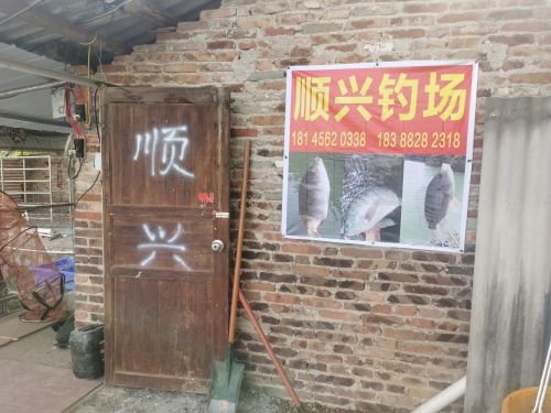 顺兴钓场钓场环境照片