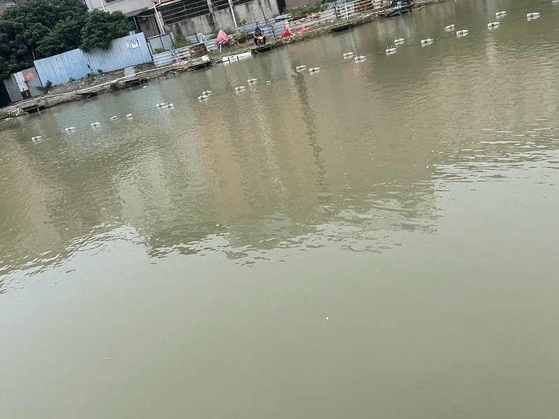 开开心心钓鱼场钓点与钓场环境照片
