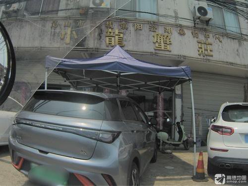 阳澄湖垂钓中心钓场环境照片