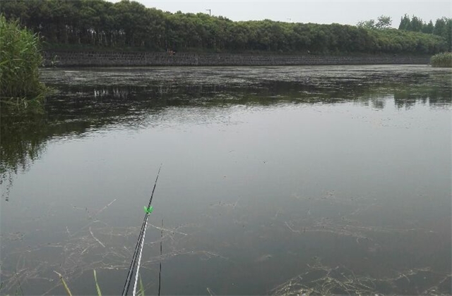 钱塘江内河下沙段钓点与钓场环境照片