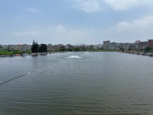 东阁东江垂钓园钓场环境照片