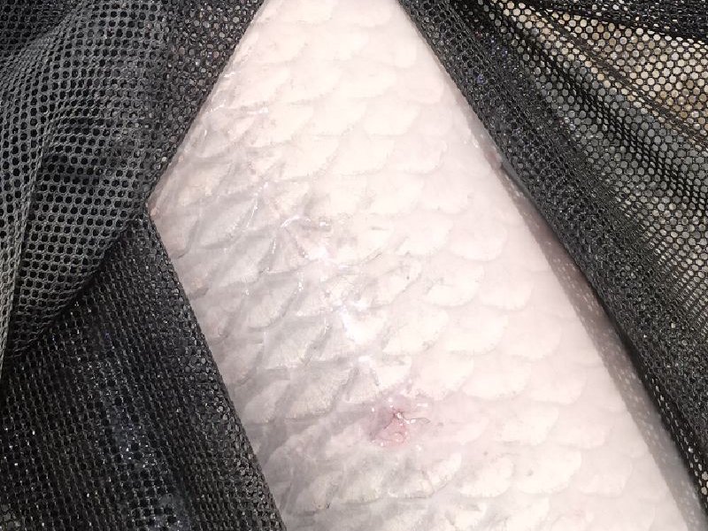 海胜钓鱼场钓点与钓场环境照片
