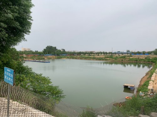 北马庄垂钓园钓点与钓场环境照片