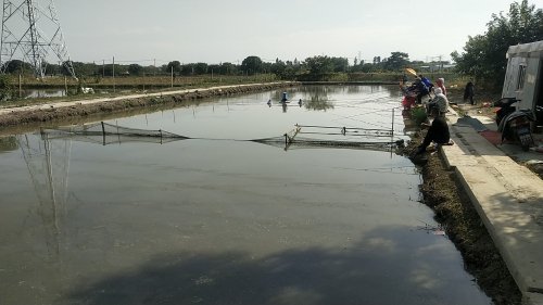 降龙钓场钓场环境照片