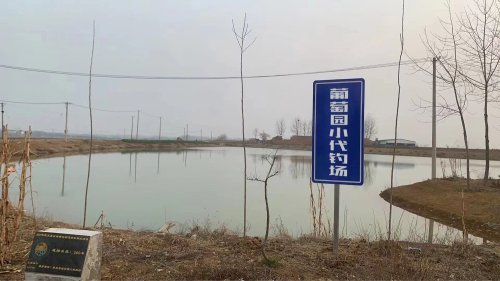 葡萄园小代钓场钓场环境照片
